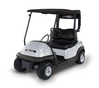 Club Car Precedent grey bodies, back seats and canopy top